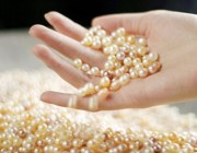 珍珠粉的养颜功效